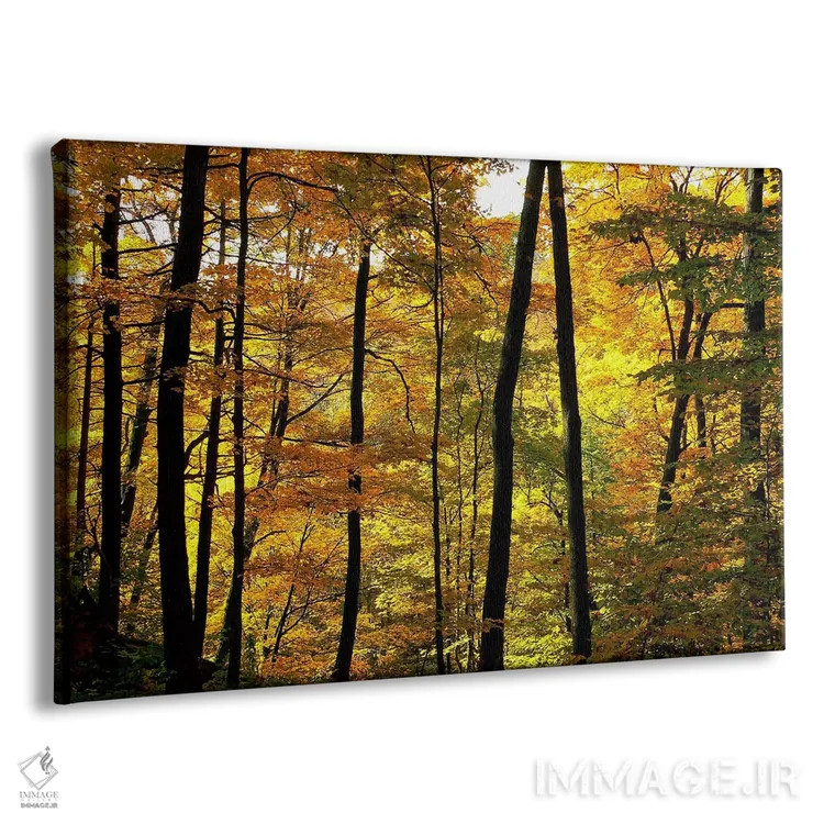 تابلو رنگهای پاییزی اثر چاک بردیک - نمای پرسپکتیو محصول