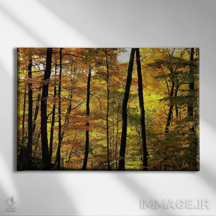 تابلو رنگهای پاییزی اثر چاک بردیک - نمای روبهرو روی دیوار