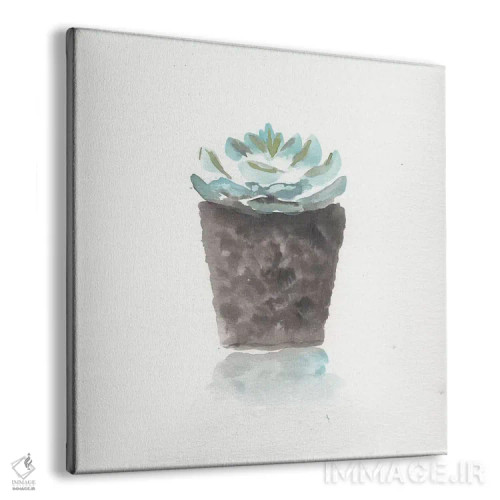 تابلو طبیعت بیجان کاکتوس آبرنگی ۱ اثر مارسی چپمن - نمای پرسپکتیو محصول