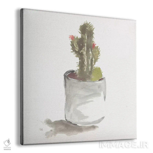 تابلو طبیعت بیجان کاکتوس آبرنگی ۲ اثر مارسی چپمن - نمای پرسپکتیو محصول