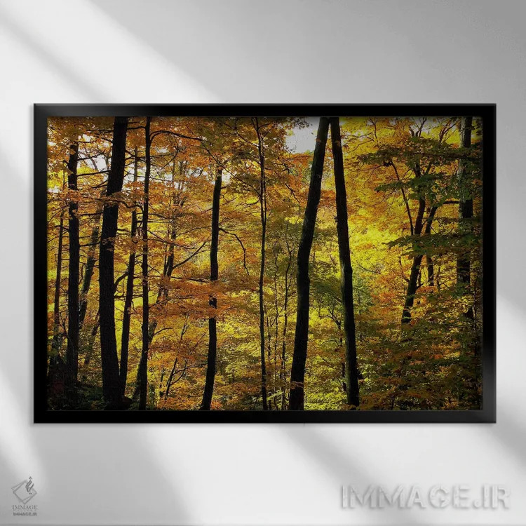 تابلو رنگهای پاییزی اثر چاک بردیک - نمای قابدار مشکی