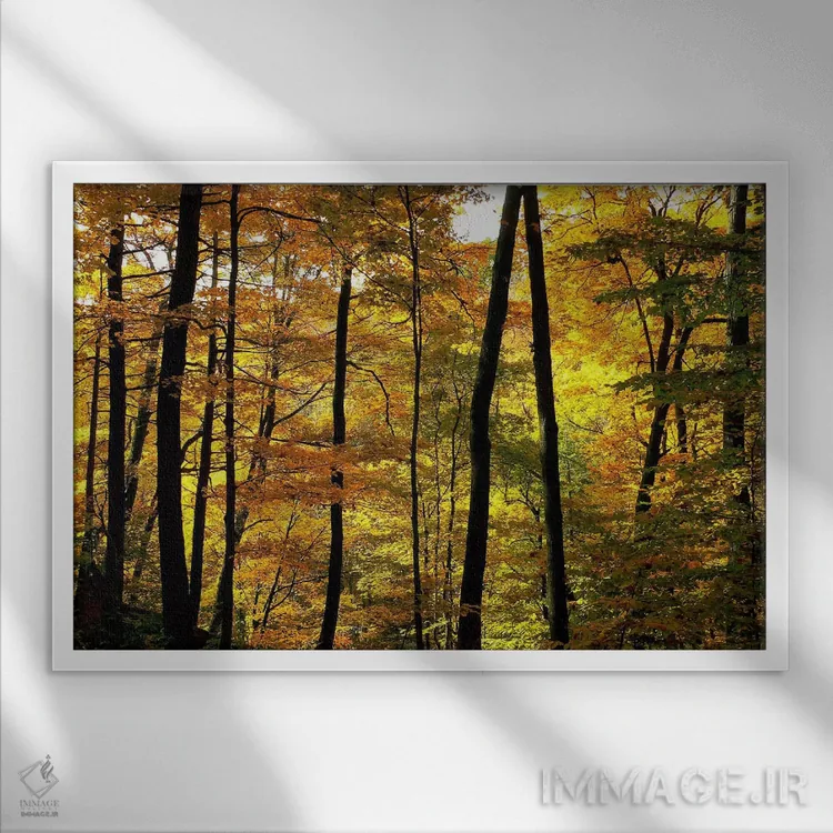 تابلو رنگهای پاییزی اثر چاک بردیک - نمای قابدار سفید