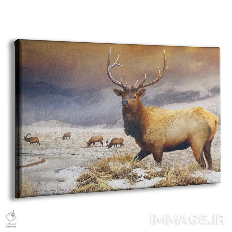 تابلو گوزن پناهگاه جکسون اثر کریستوفر وست - نمای پرسپکتیو محصول