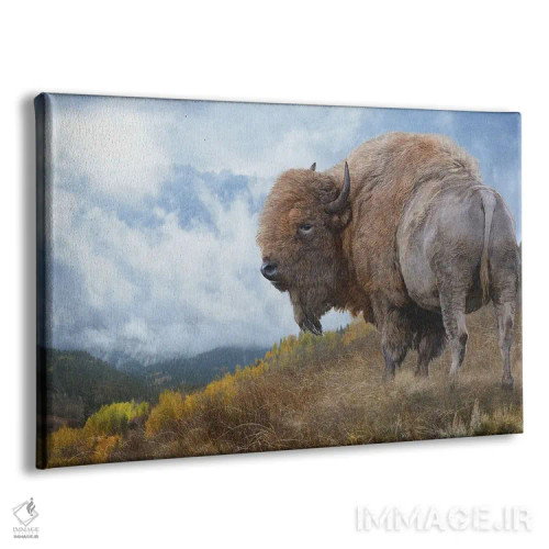 تابلو گاومیش طلایی II اثر کریستوفر وست - نمای پرسپکتیو محصول