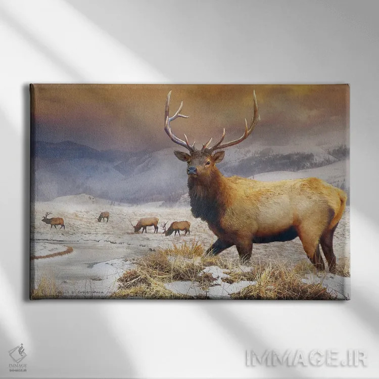 تابلو گوزن پناهگاه جکسون اثر کریستوفر وست - نمای روبهرو روی دیوار