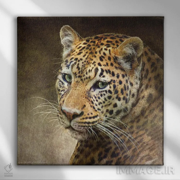 تابلو پلنگ اثر کریستوفر وست - نمای روبهرو روی دیوار