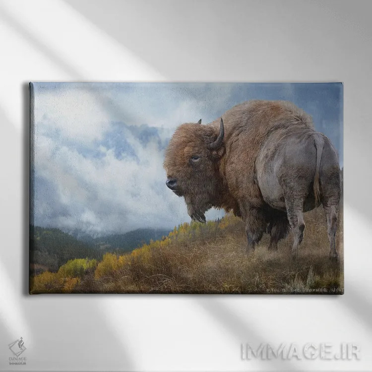 تابلو گاومیش طلایی II اثر کریستوفر وست - نمای روبهرو روی دیوار