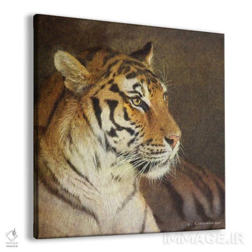 تابلو ببر اثر کریستوفر وست - نمای پرسپکتیو محصول