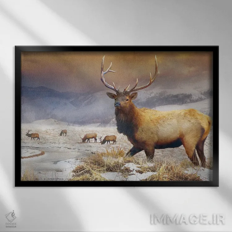 تابلو گوزن پناهگاه جکسون اثر کریستوفر وست - نمای قابدار مشکی