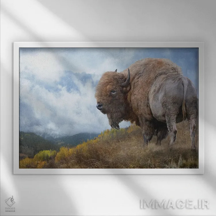 تابلو گاومیش طلایی II اثر کریستوفر وست - نمای قابدار سفید