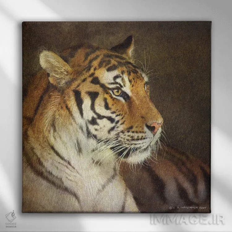 تابلو ببر اثر کریستوفر وست - نمای روبهرو روی دیوار