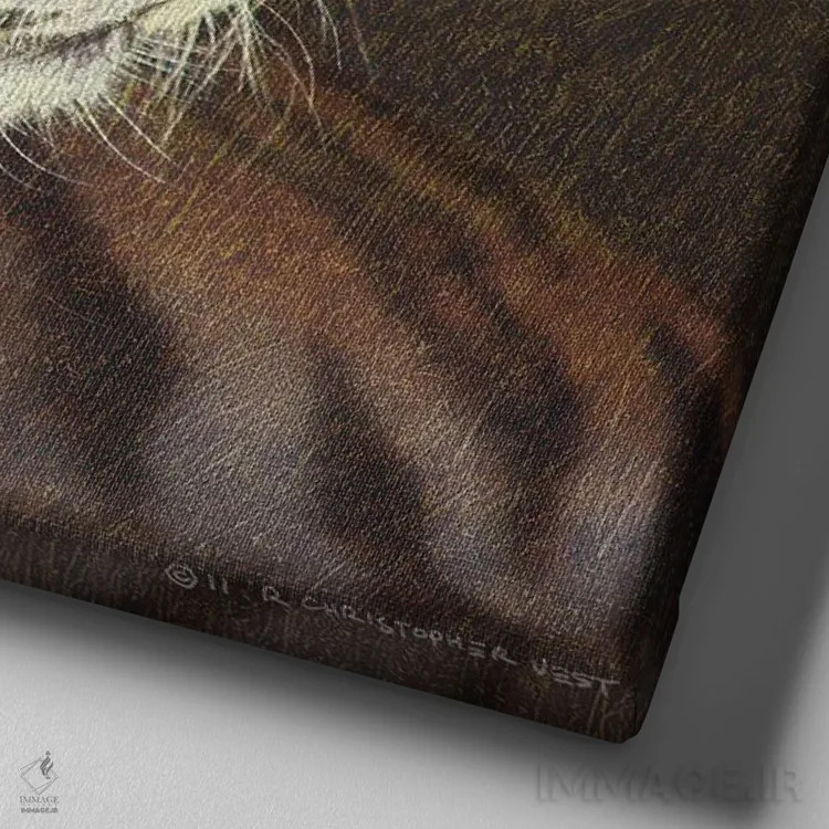 تابلو ببر اثر کریستوفر وست - نمای نزدیک بافت بوم