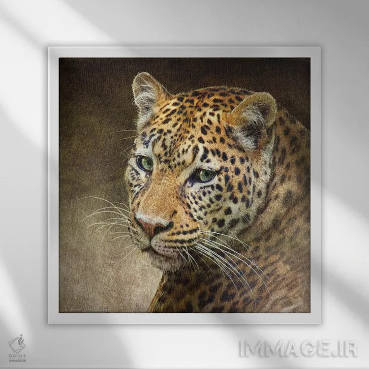 تابلو پلنگ اثر کریستوفر وست - نمای قابدار سفید