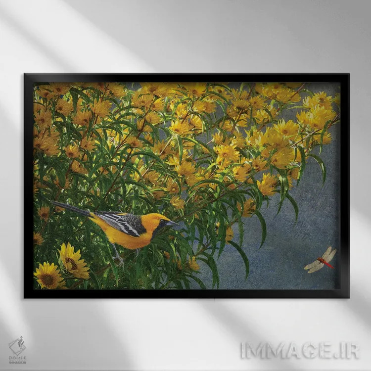 تابلو بلبل گلهای زرد اثر کریستوفر وست - نمای قابدار مشکی