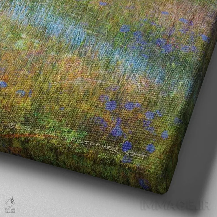 تابلو دریاچه نزدیک مسا ورده اثر کریستوفر وست - نمای نزدیک بافت بوم