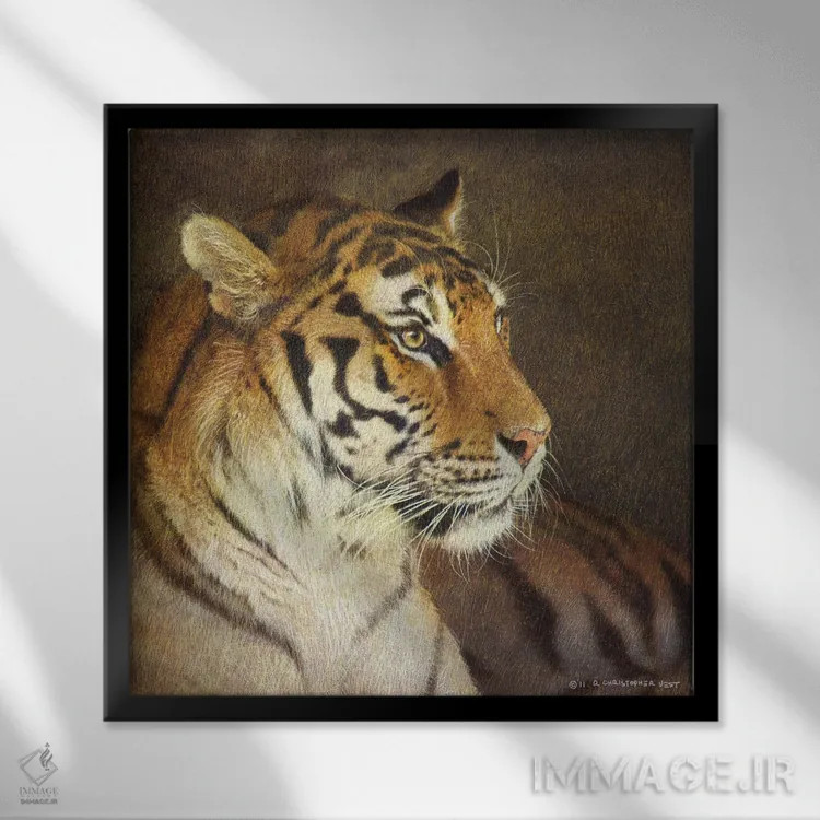 تابلو ببر اثر کریستوفر وست - نمای قابدار مشکی