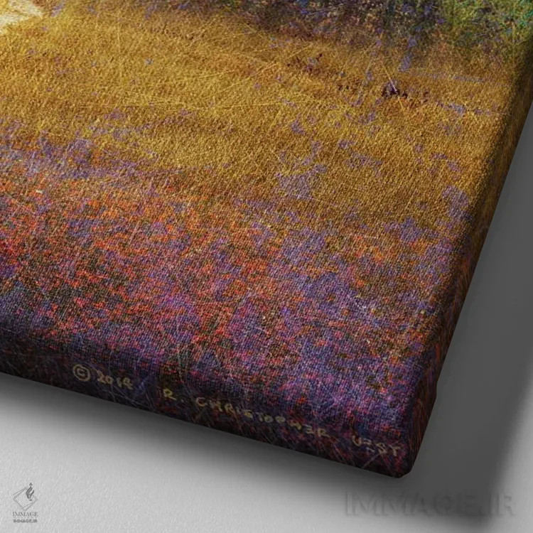 تابلو پنبههای روشن اثر کریستوفر وست - نمای نزدیک بافت بوم