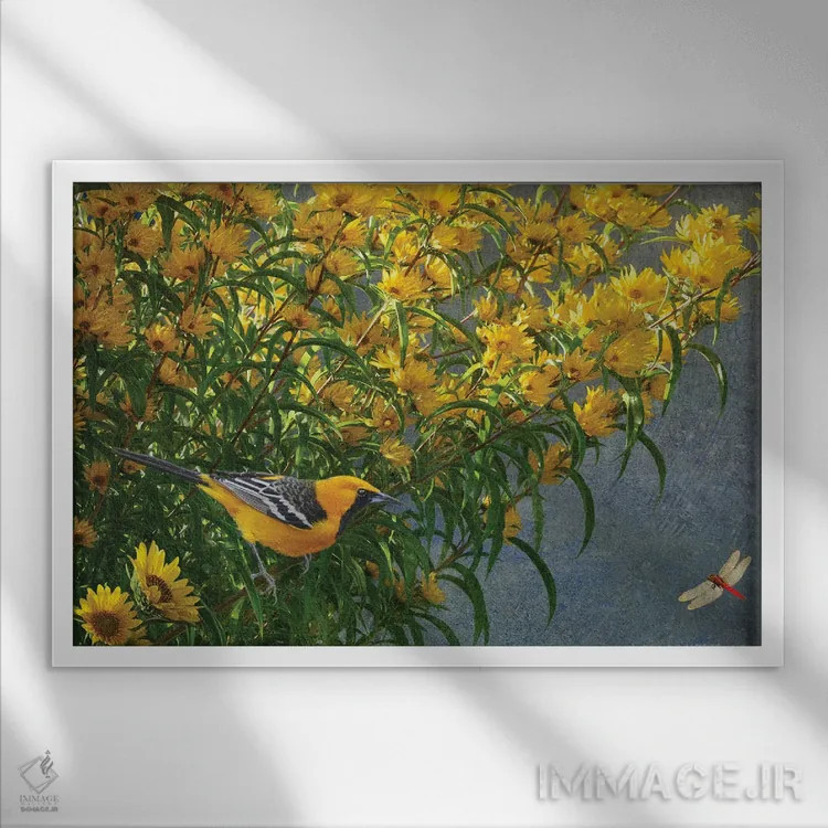 تابلو بلبل گلهای زرد اثر کریستوفر وست - نمای قابدار سفید
