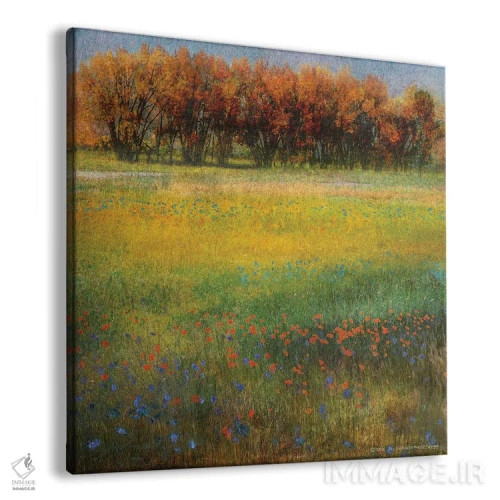 تابلو گلهای دشت II اثر کریستوفر وست - نمای پرسپکتیو محصول