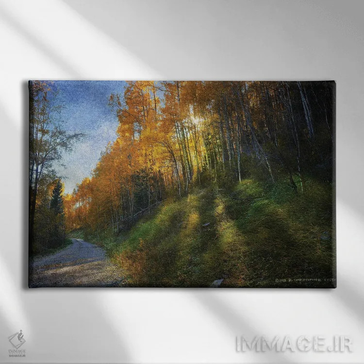 تابلو جادهٔ کوهستانی سایهدار اثر کریستوفر وست - نمای روبهرو روی دیوار