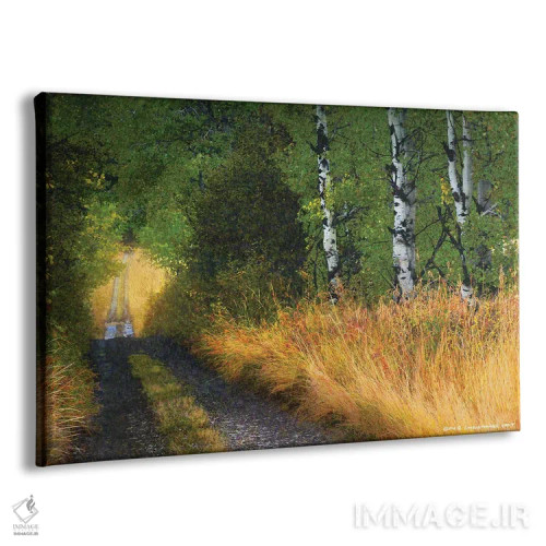 تابلو جاده میان درختان اثر کریستوفر وست - نمای پرسپکتیو محصول