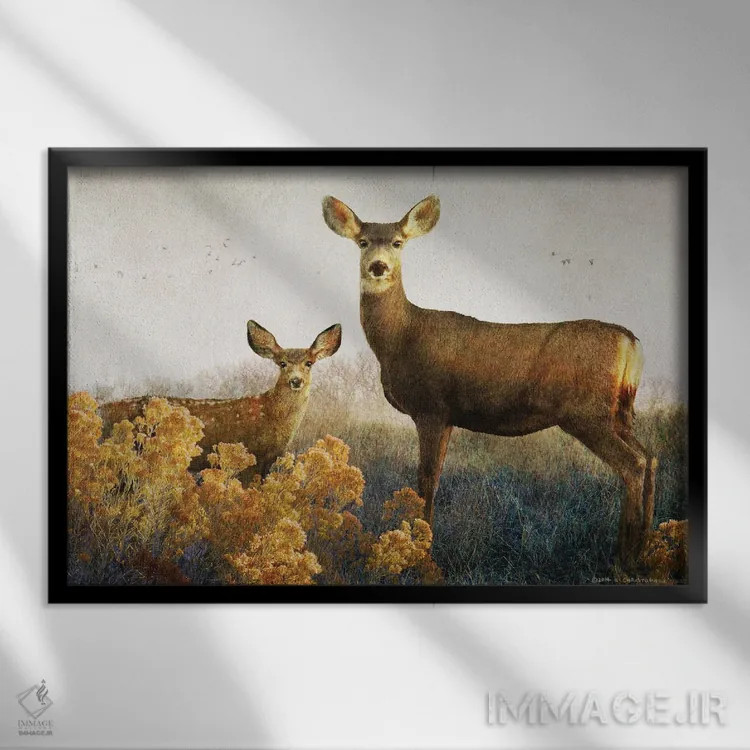 تابلو آهو و بچه آهو اثر کریستوفر وست - نمای قابدار مشکی