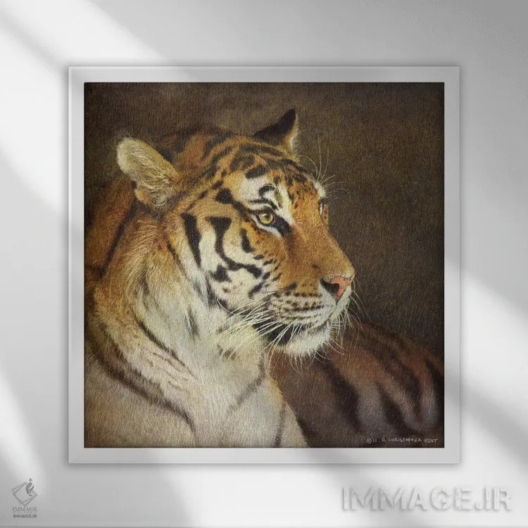 تابلو ببر اثر کریستوفر وست - نمای قابدار سفید