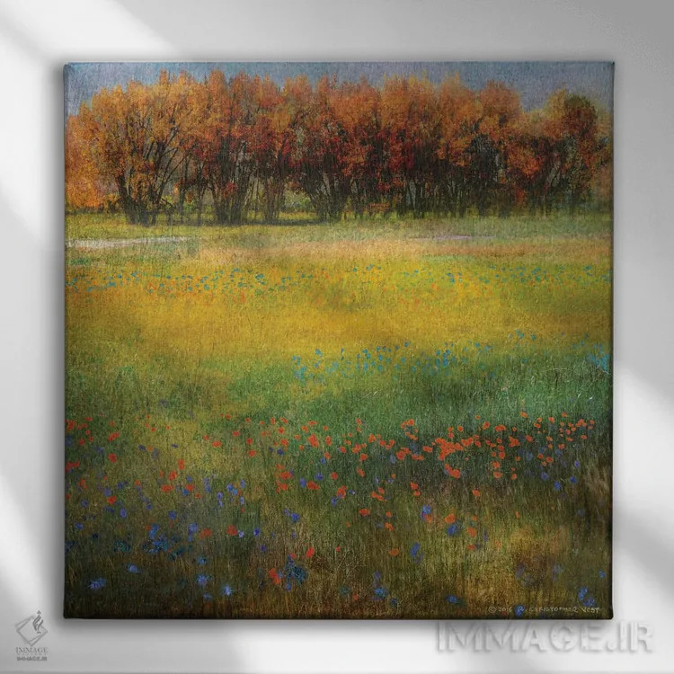 تابلو گلهای دشت II اثر کریستوفر وست - نمای روبهرو روی دیوار