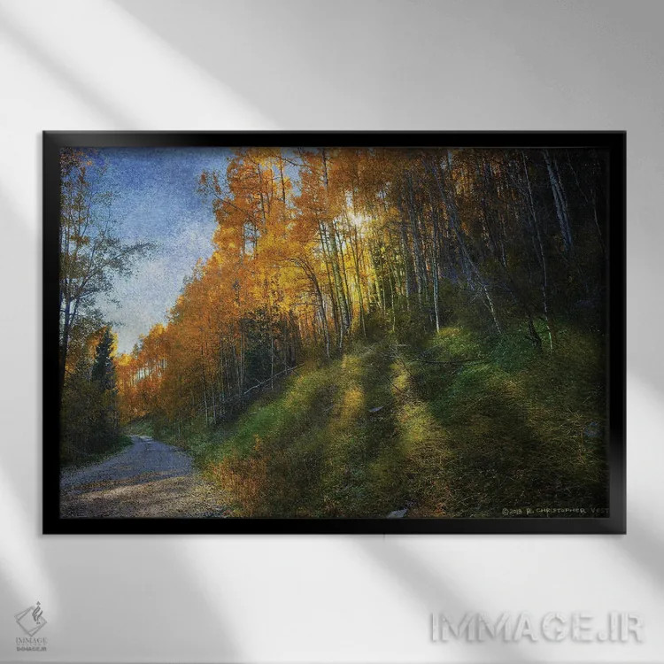 تابلو جادهٔ کوهستانی سایهدار اثر کریستوفر وست - نمای قابدار مشکی