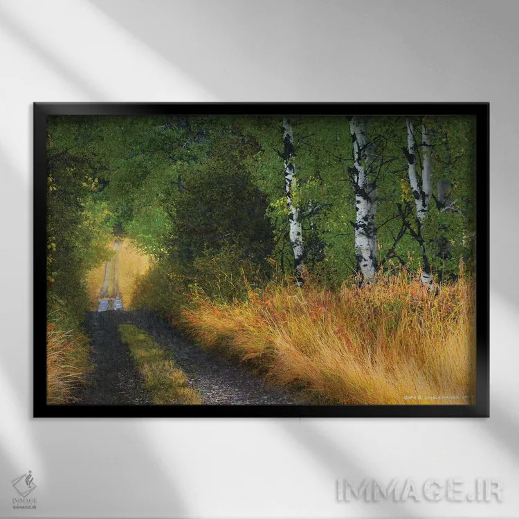 تابلو جاده میان درختان اثر کریستوفر وست - نمای قابدار مشکی