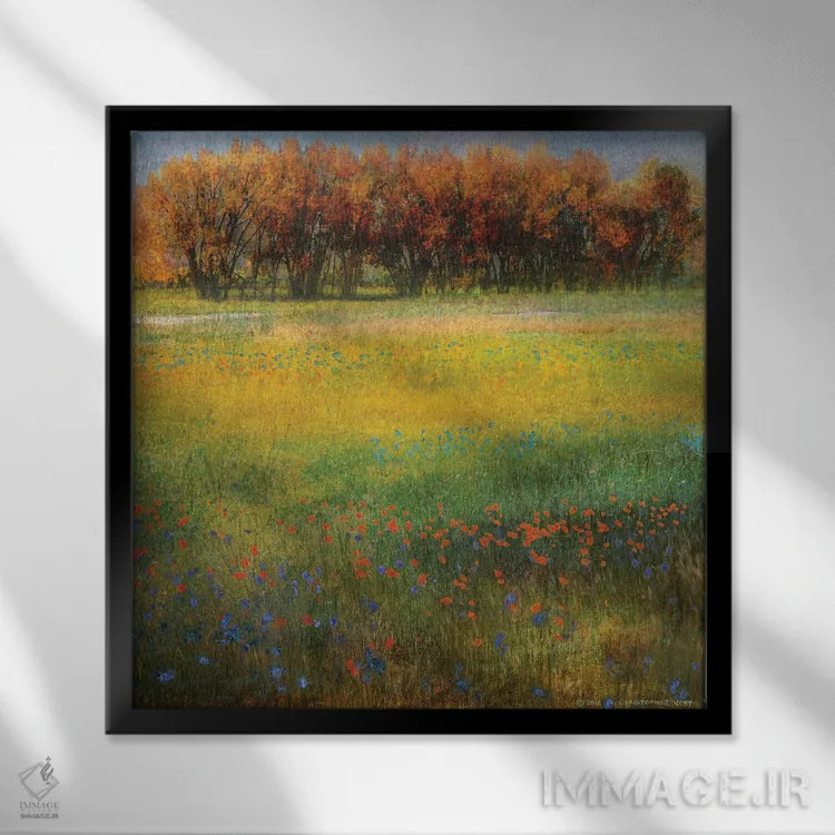 تابلو گلهای دشت II اثر کریستوفر وست - نمای قابدار مشکی