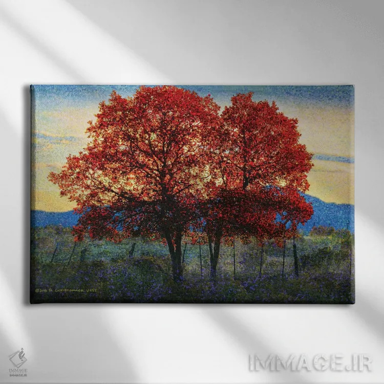 تابلو دو درخت بلوط اثر کریستوفر وست - نمای روبهرو روی دیوار