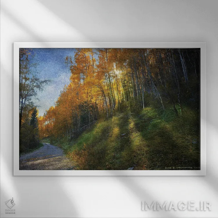 تابلو جادهٔ کوهستانی سایهدار اثر کریستوفر وست - نمای قابدار سفید