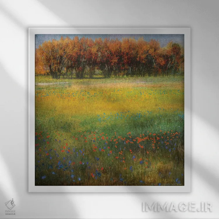 تابلو گلهای دشت II اثر کریستوفر وست - نمای قابدار سفید