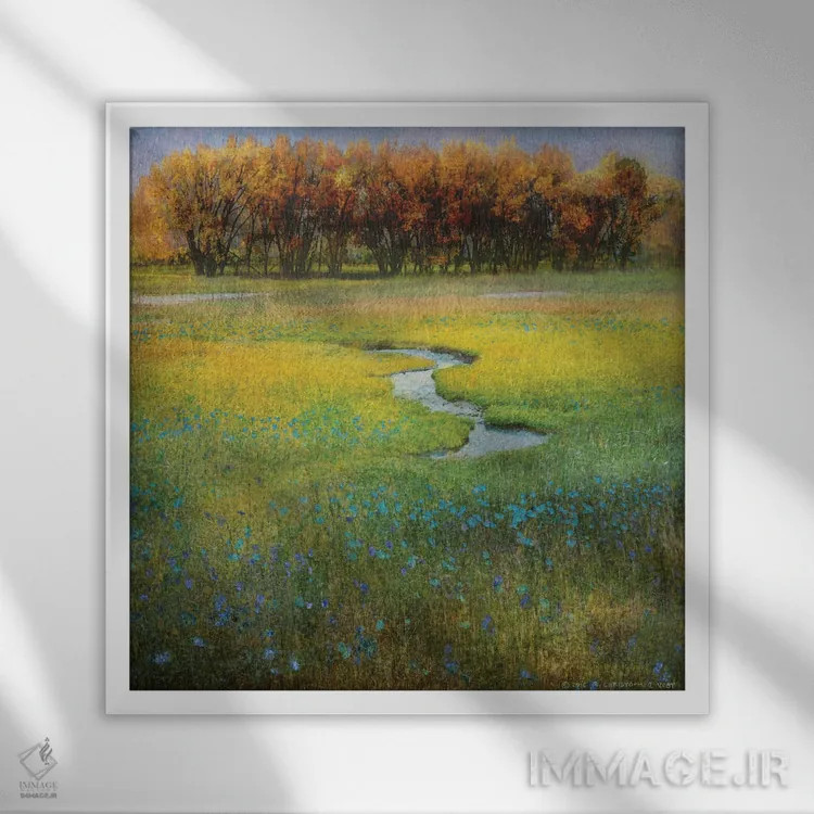 تابلو گلهای دشت I اثر کریستوفر وست - نمای قابدار سفید