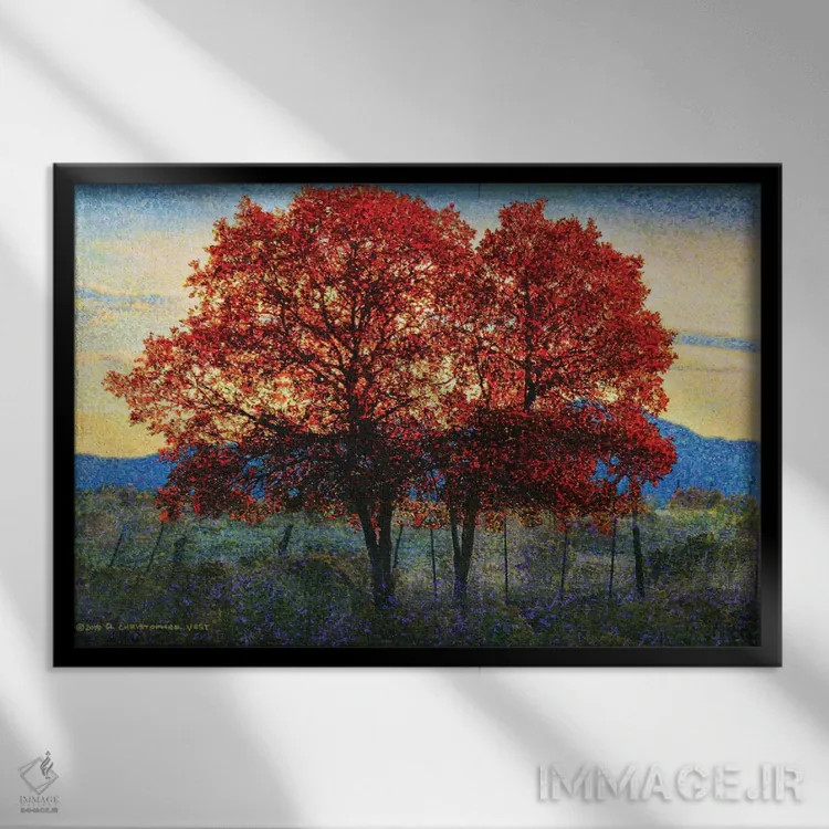 تابلو دو درخت بلوط اثر کریستوفر وست - نمای قابدار مشکی