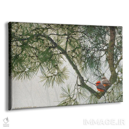 تابلو شاخهٔ خمیدهٔ کاج با مگسگیران قرمز اثر کریستوفر وست - نمای پرسپکتیو محصول