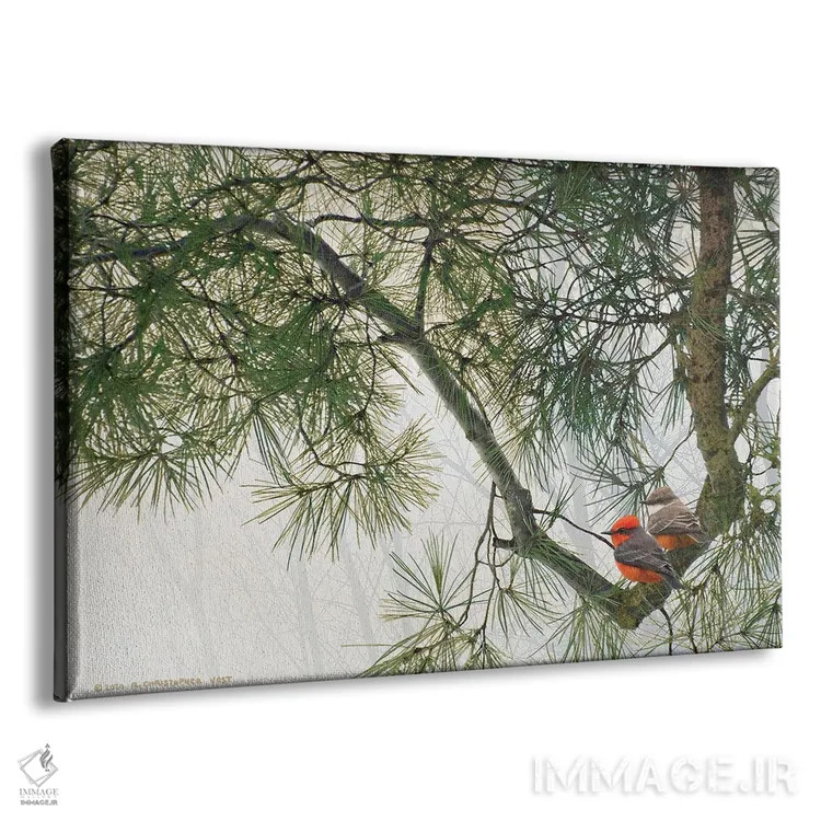 تابلو شاخهٔ خمیدهٔ کاج با مگسگیران قرمز اثر کریستوفر وست - نمای پرسپکتیو محصول