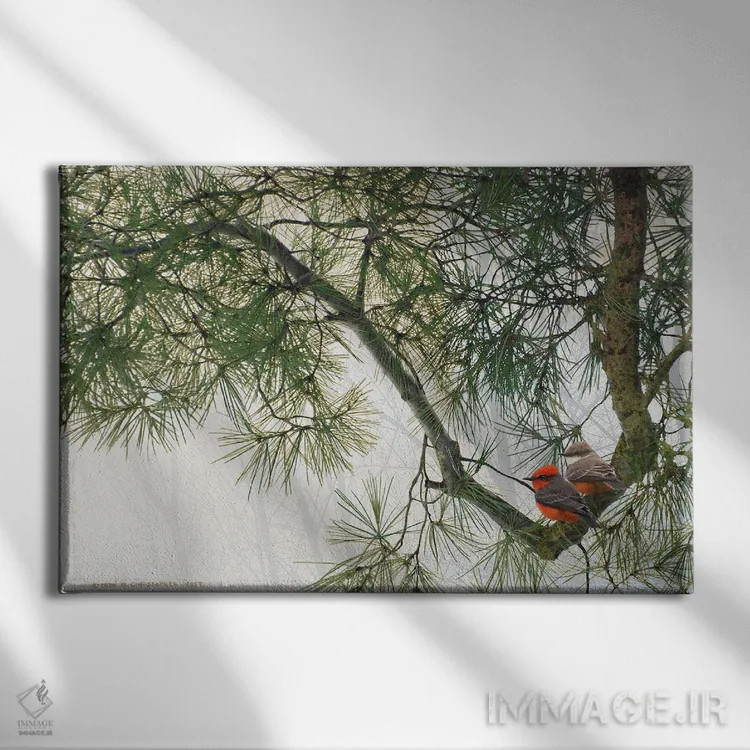 تابلو شاخهٔ خمیدهٔ کاج با مگسگیران قرمز اثر کریستوفر وست - نمای روبهرو روی دیوار