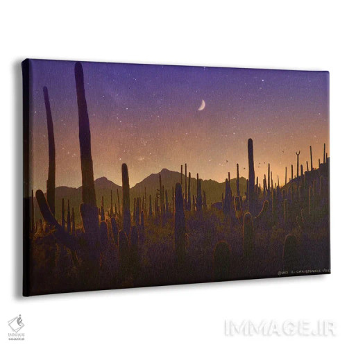تابلو سایهوارهٔ تعداد زیادی کاکتوس ساگوارو اثر کریستوفر وست - نمای پرسپکتیو محصول