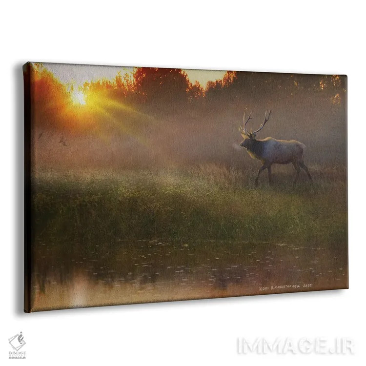 تابلو نوشیدنی خنک (گوزن نر) اثر کریستوفر وست - نمای پرسپکتیو محصول