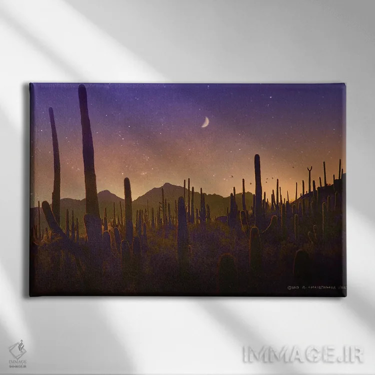 تابلو سایهوارهٔ تعداد زیادی کاکتوس ساگوارو اثر کریستوفر وست - نمای روبهرو روی دیوار