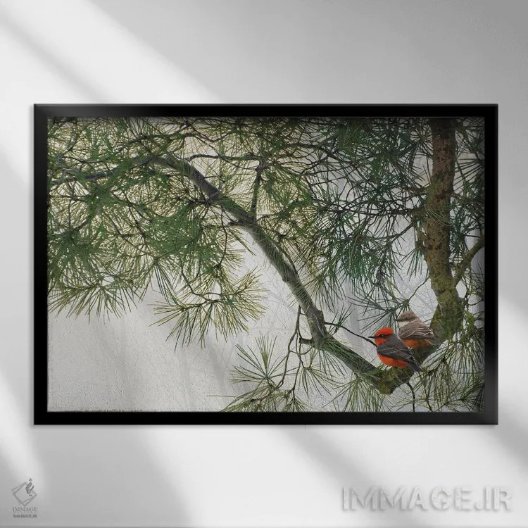 تابلو شاخهٔ خمیدهٔ کاج با مگسگیران قرمز اثر کریستوفر وست - نمای قابدار مشکی