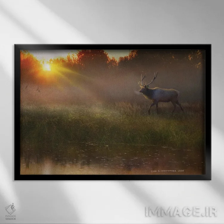 تابلو نوشیدنی خنک (گوزن نر) اثر کریستوفر وست - نمای قابدار مشکی