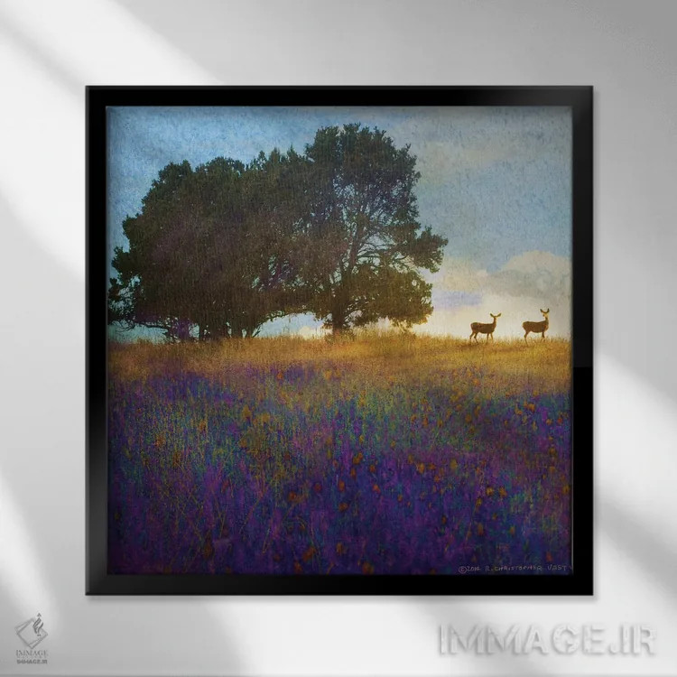 تابلو گلهای تپه درختی اثر کریستوفر وست - نمای قابدار مشکی
