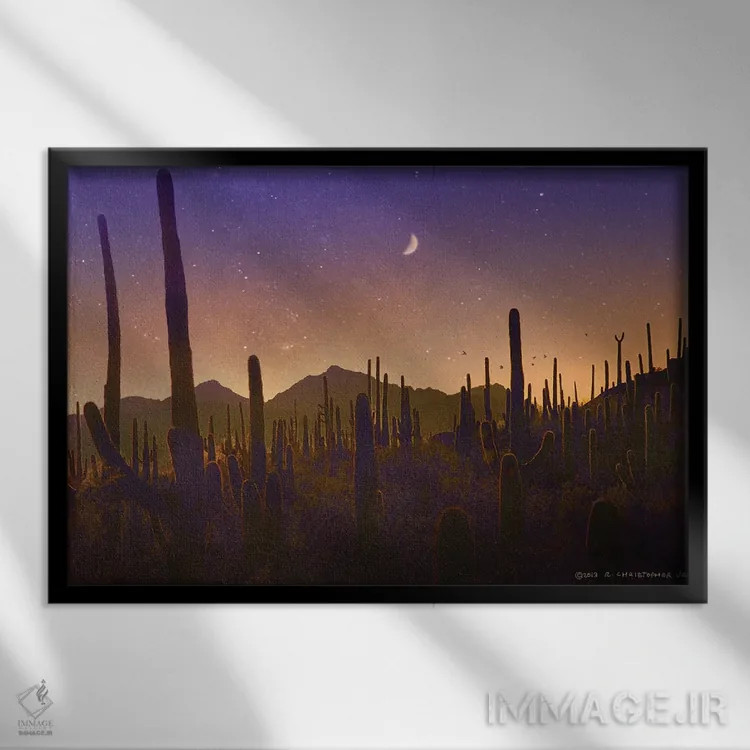 تابلو سایهوارهٔ تعداد زیادی کاکتوس ساگوارو اثر کریستوفر وست - نمای قابدار مشکی