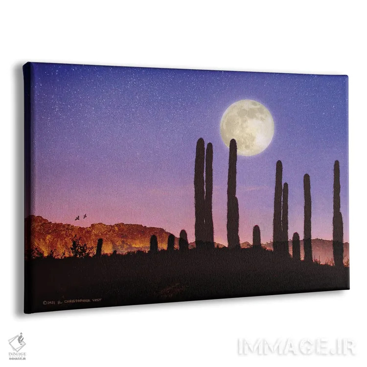 تابلو کاکتوس ساگوارو و ماه بلدرچین اثر کریستوفر وست - نمای پرسپکتیو محصول