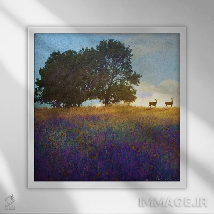 تابلو گلهای تپه درختی اثر کریستوفر وست - نمای قابدار سفید