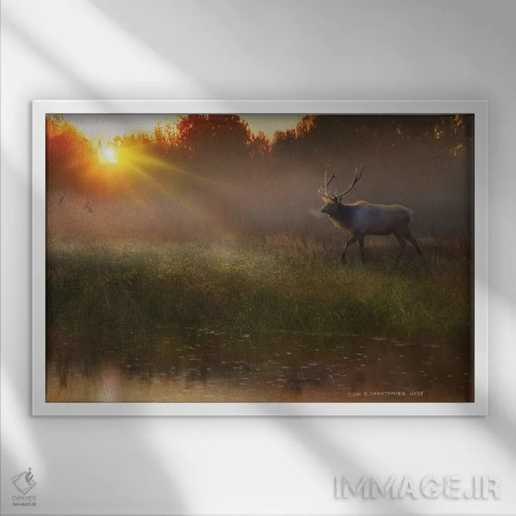 تابلو نوشیدنی خنک (گوزن نر) اثر کریستوفر وست - نمای قابدار سفید