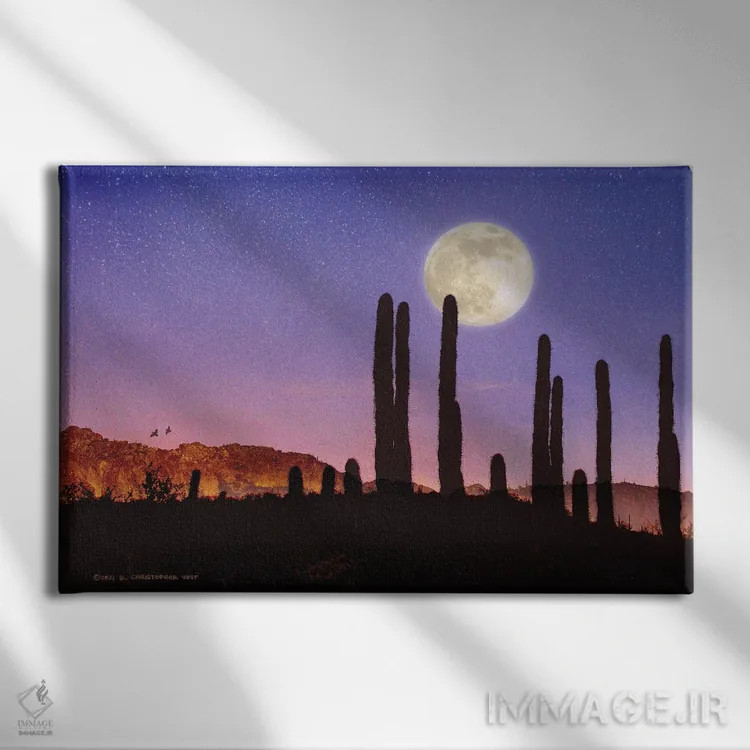 تابلو کاکتوس ساگوارو و ماه بلدرچین اثر کریستوفر وست - نمای روبهرو روی دیوار